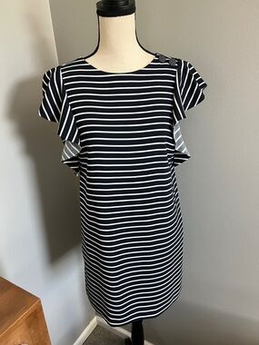 Banana Republic Navy and White Striped Ruffle Sleeve Mini Dress